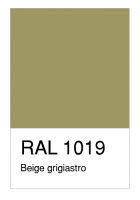 RAL-1019 Beige grigiastro