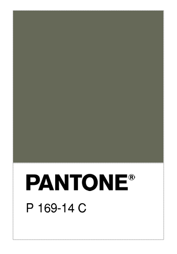 Pantone 18-0312 Tpx Deep Lichen Green Color, Hex color Code #676B57  information, Hsl, Rgb