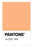 14-1231 TPX
