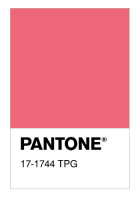 17-1744 TPG