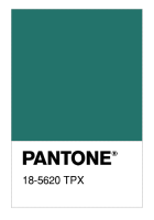 18-5620 TPX