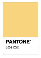 2005 XGC