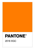 2018 XGC