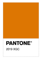 2019 XGC