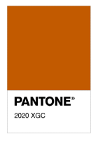 2020 XGC