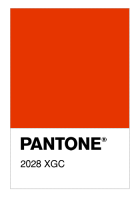 2028 XGC