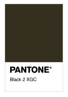 Black 2 XGC