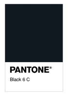 Black 6 C
