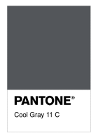Cool Gray 11 C