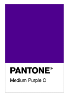 Medium Purple C