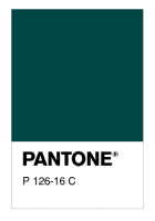 P 126-16 C
