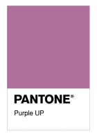 Purple UP