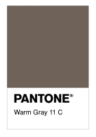 Warm Gray 11 C