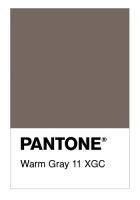Warm Gray 11 XGC