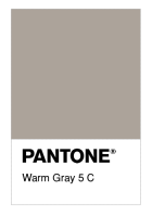 Warm Gray 5 C