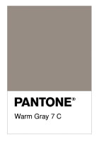 Warm Gray 7 C