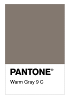 Warm Gray 9 C