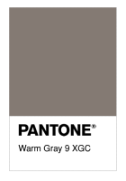 Warm Gray 9 XGC