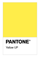 Yellow UP